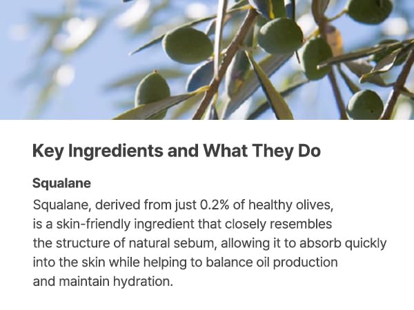 S.NATURE Aqua Squalane Serum, extracto de hamamelis estabilizando poros.