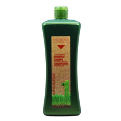 SALERM Biokera Natura Shampoing Renforçant – bouteille prête à nourrir le cuir chevelu