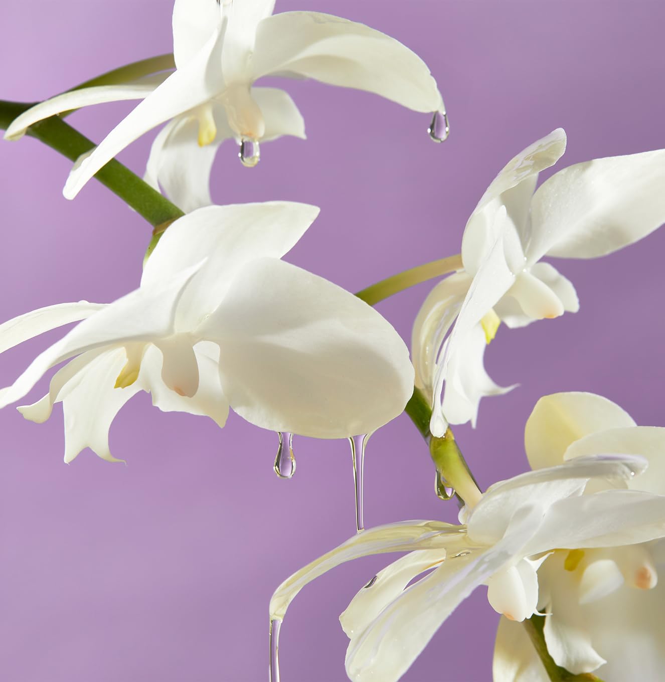 Saltair Island Orchid bathroom scene suggests a luxurious post-shower ritual.