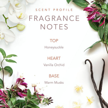 SCENT BEAUTY Notas de musgos cálidos, calidez discreta