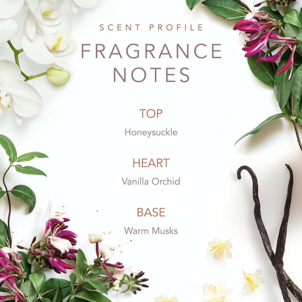 SCENT BEAUTY Notas de musgos cálidos, calidez discreta