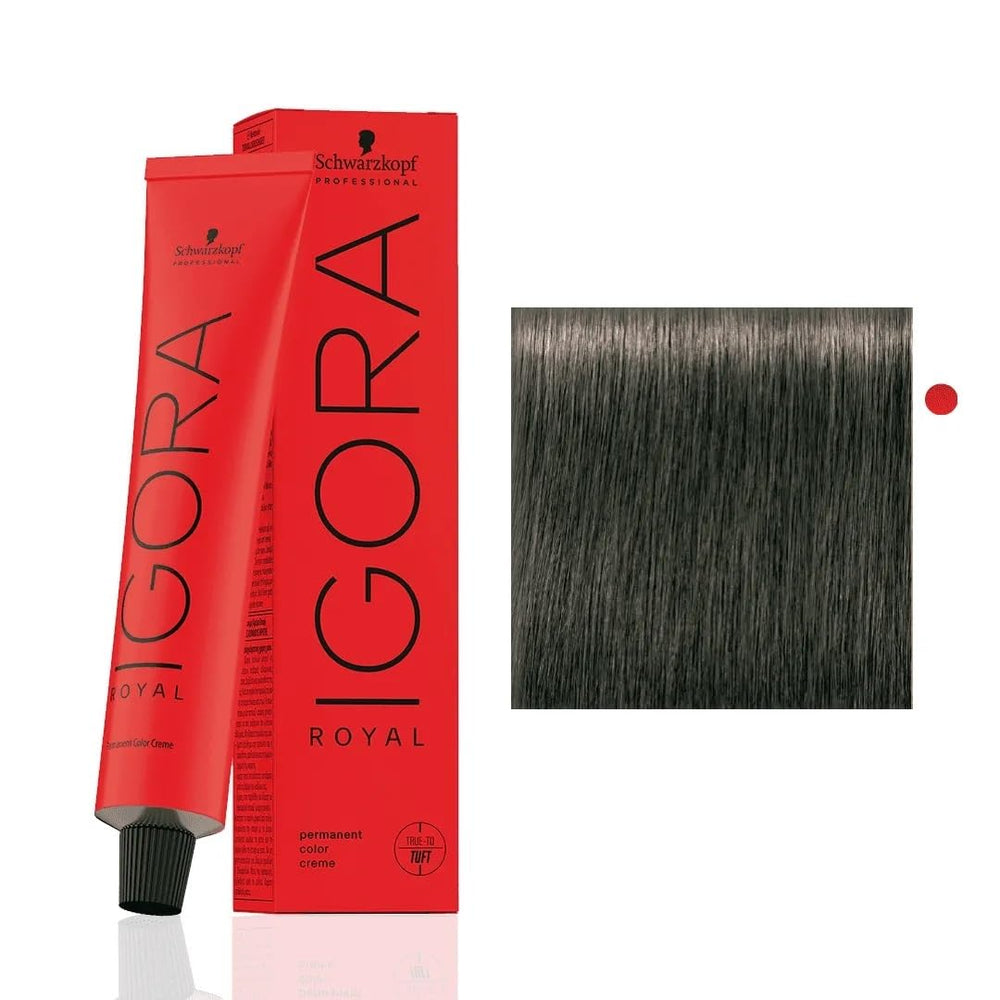 Schwarzkopf Igora Royal 6-1 rubio oscuro ceniza en envase, cobertura total de canas.