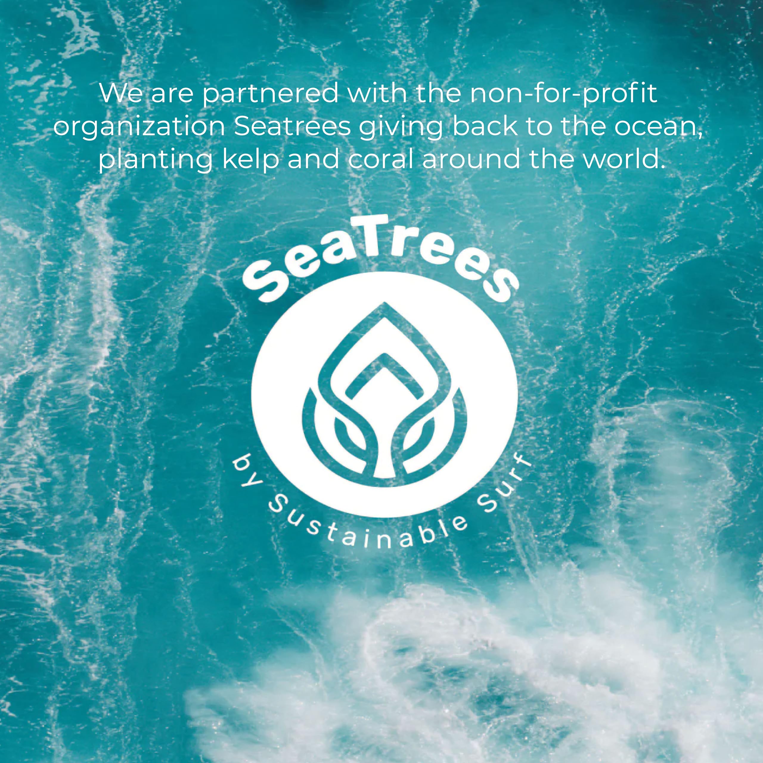 Protección mineral suave gracias al óxido de zinc en Sea-El Lamina Sea Kelp Día Crema.