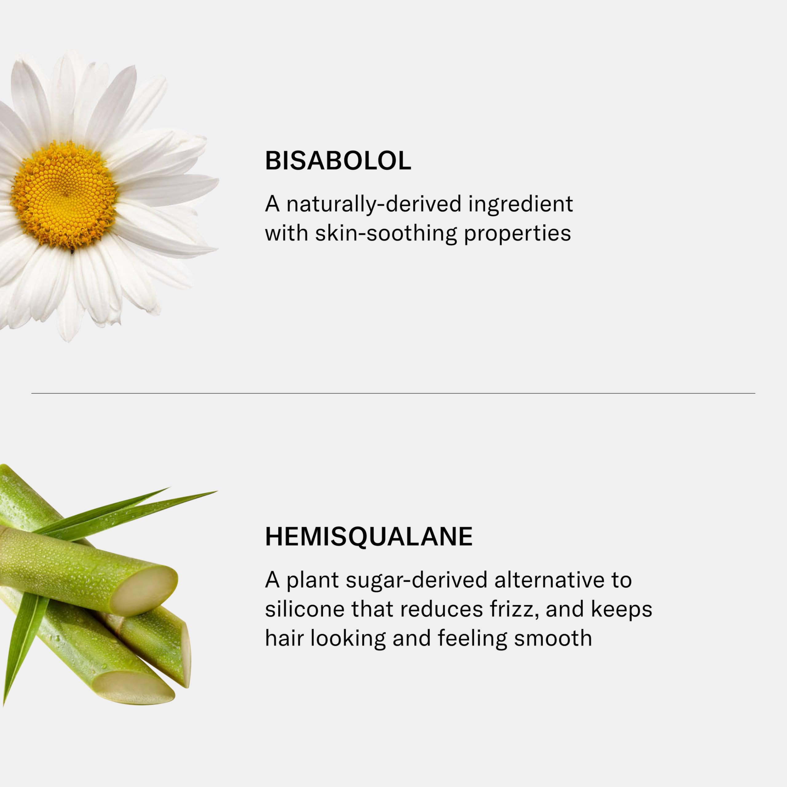 Envase SEEN Shampoo sin sulfatos protege el color y el cabello.