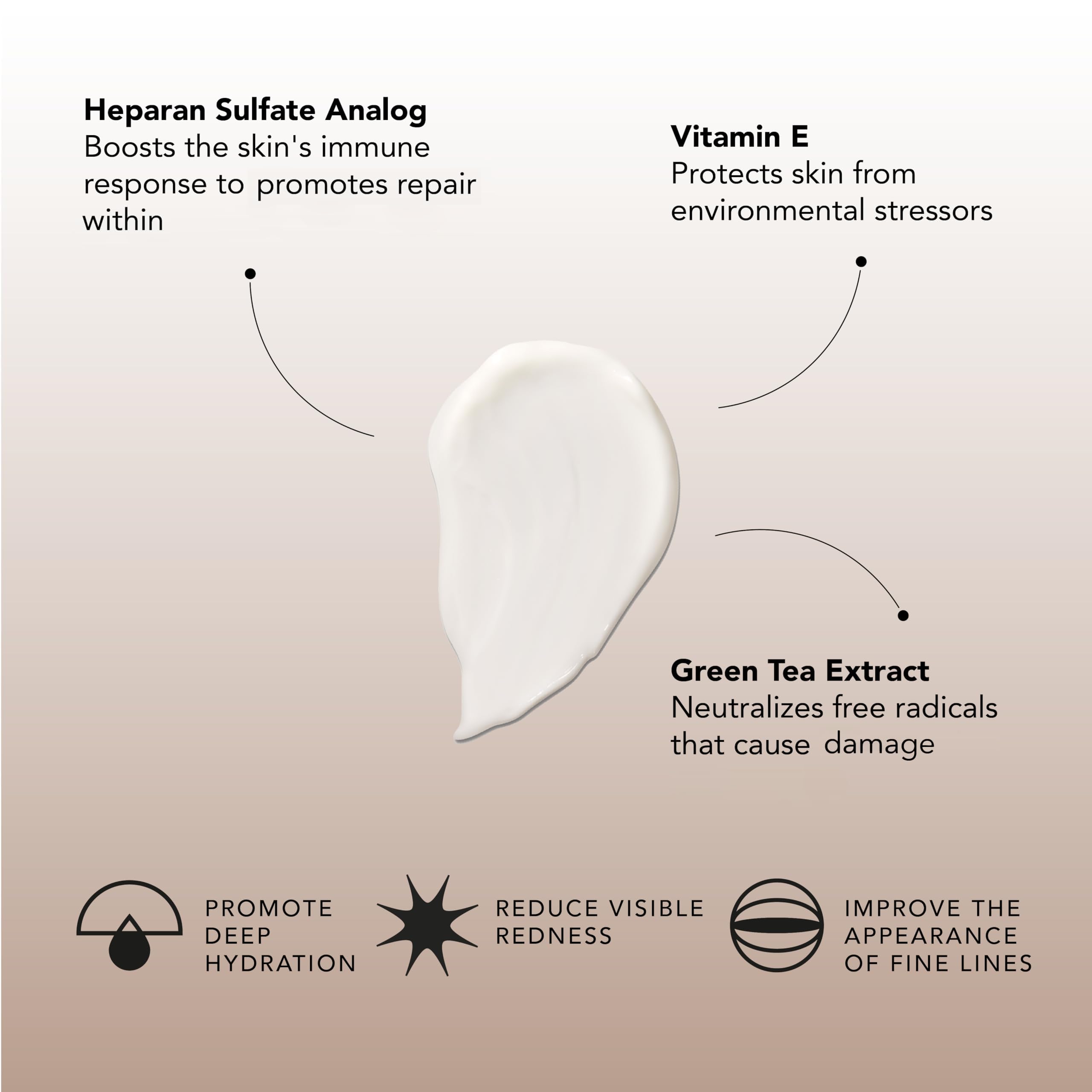 Extracto de té verde en Senté Dermal Repair con antioxidantes suaves