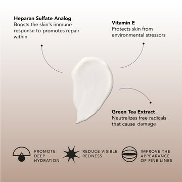 Extracto de té verde en Senté Dermal Repair con antioxidantes suaves