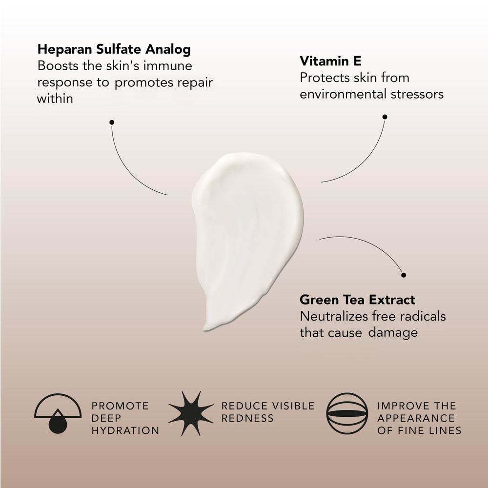 Extracto de té verde en Senté Dermal Repair con antioxidantes suaves