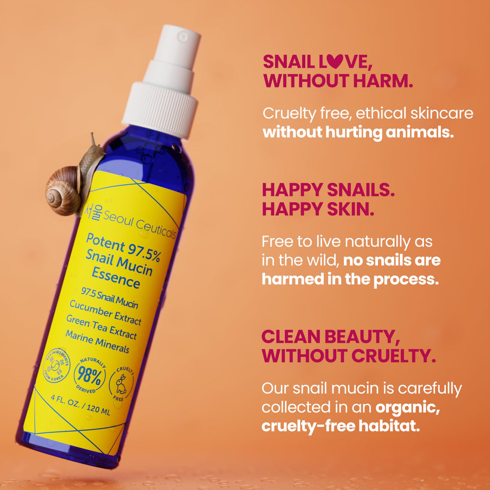 SeoulCeuticals Hyaluronique et Nutrition— peau repulpée et confortable toute la journée.