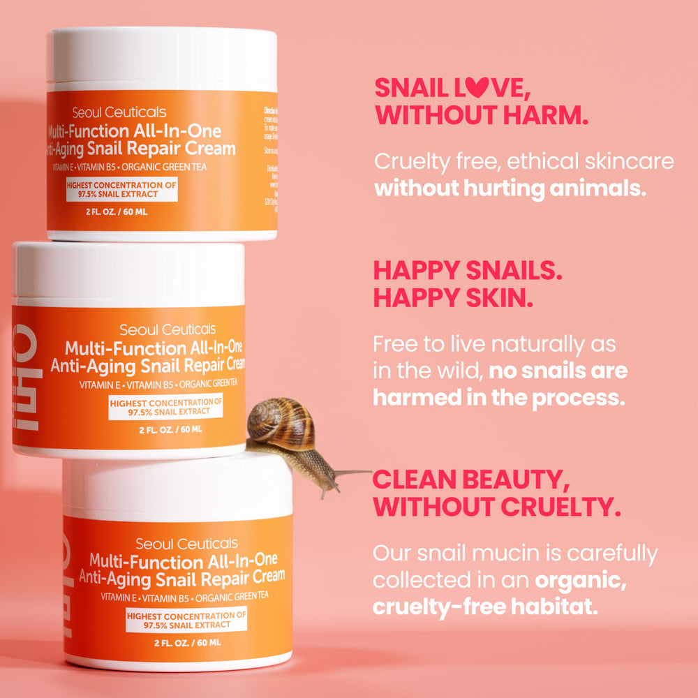 SeoulCeuticals usage jour et nuit – routine simple à intégrer.