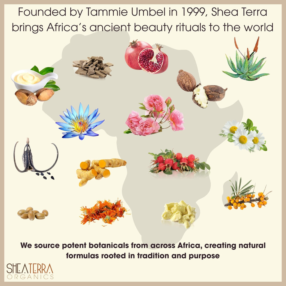 Aceite de semilla negra egipcio de Shea Terra Organics para cabello y piel, nutrición suave.