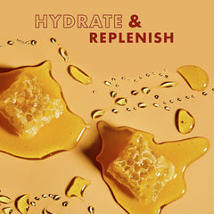 Conjunto renovado de SheaMoisture, look actual para hidratación diaria.