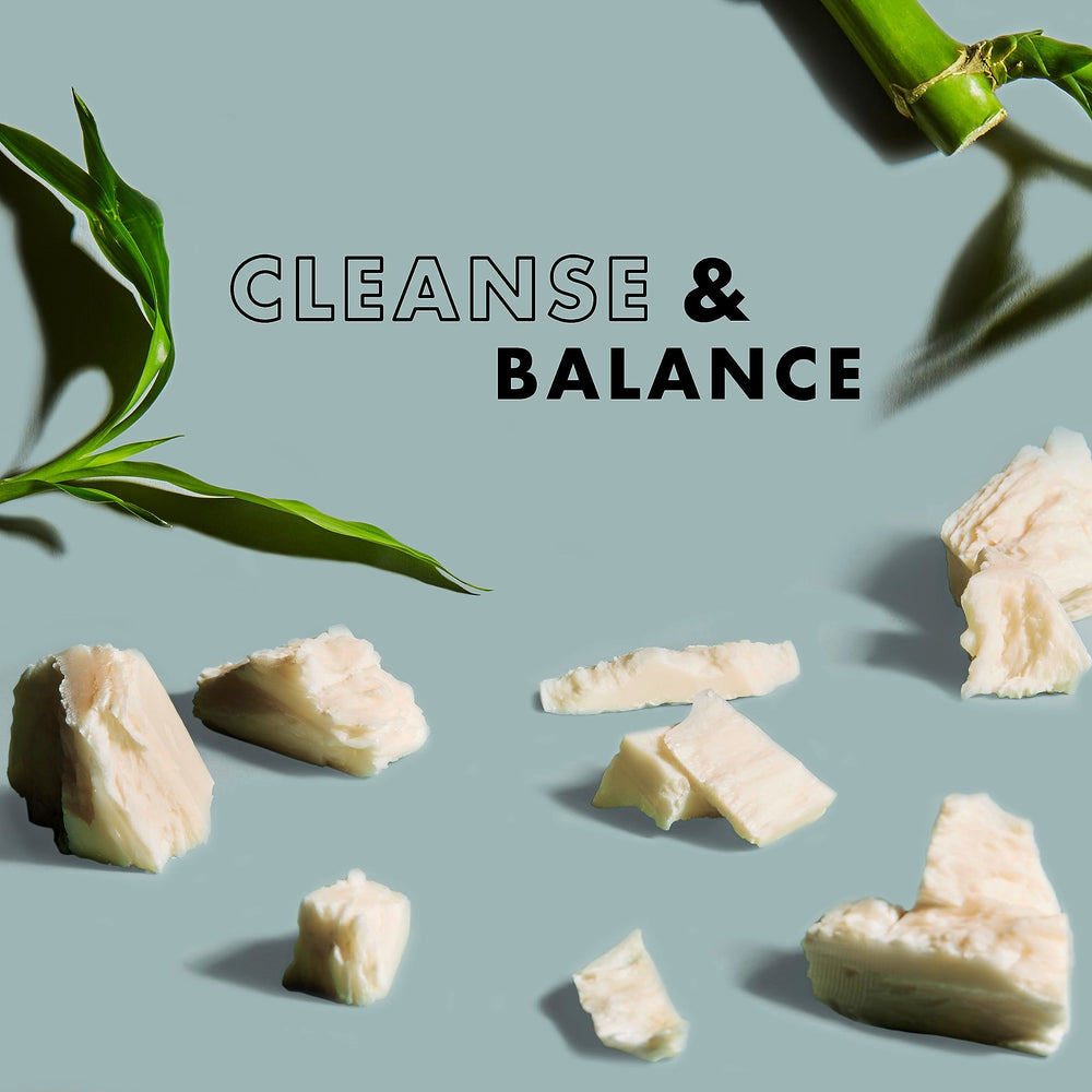 Ingredientes naturales de SheaMoisture y manteca de karité en barra.