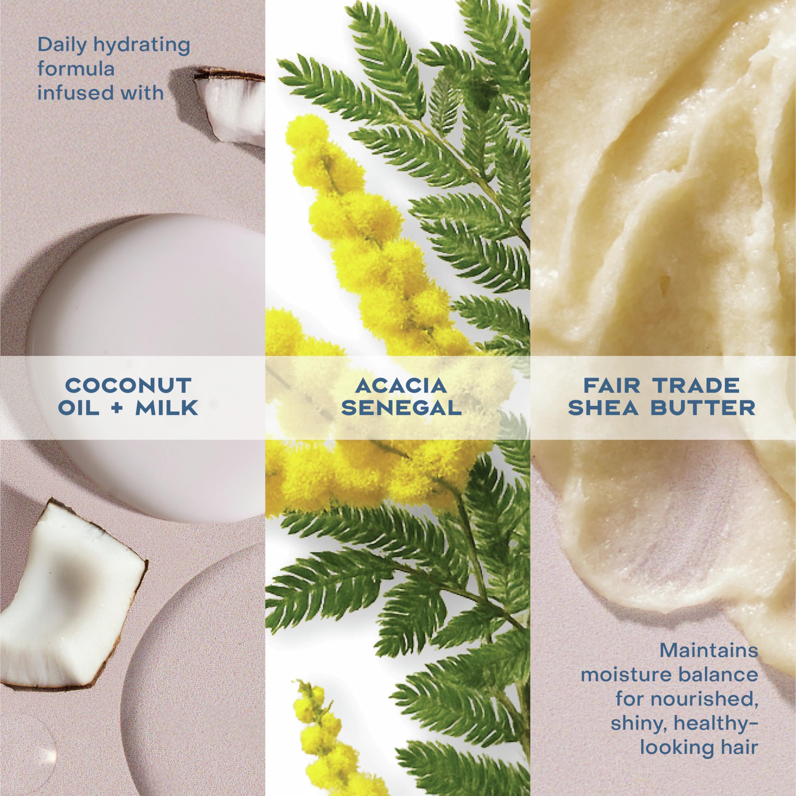 Textura cremosa que ayuda a desenredar el cabello mojado