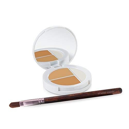 Sheer Cover Studio, corrector tono claro: camufla manchas y rojeces con naturalidad.