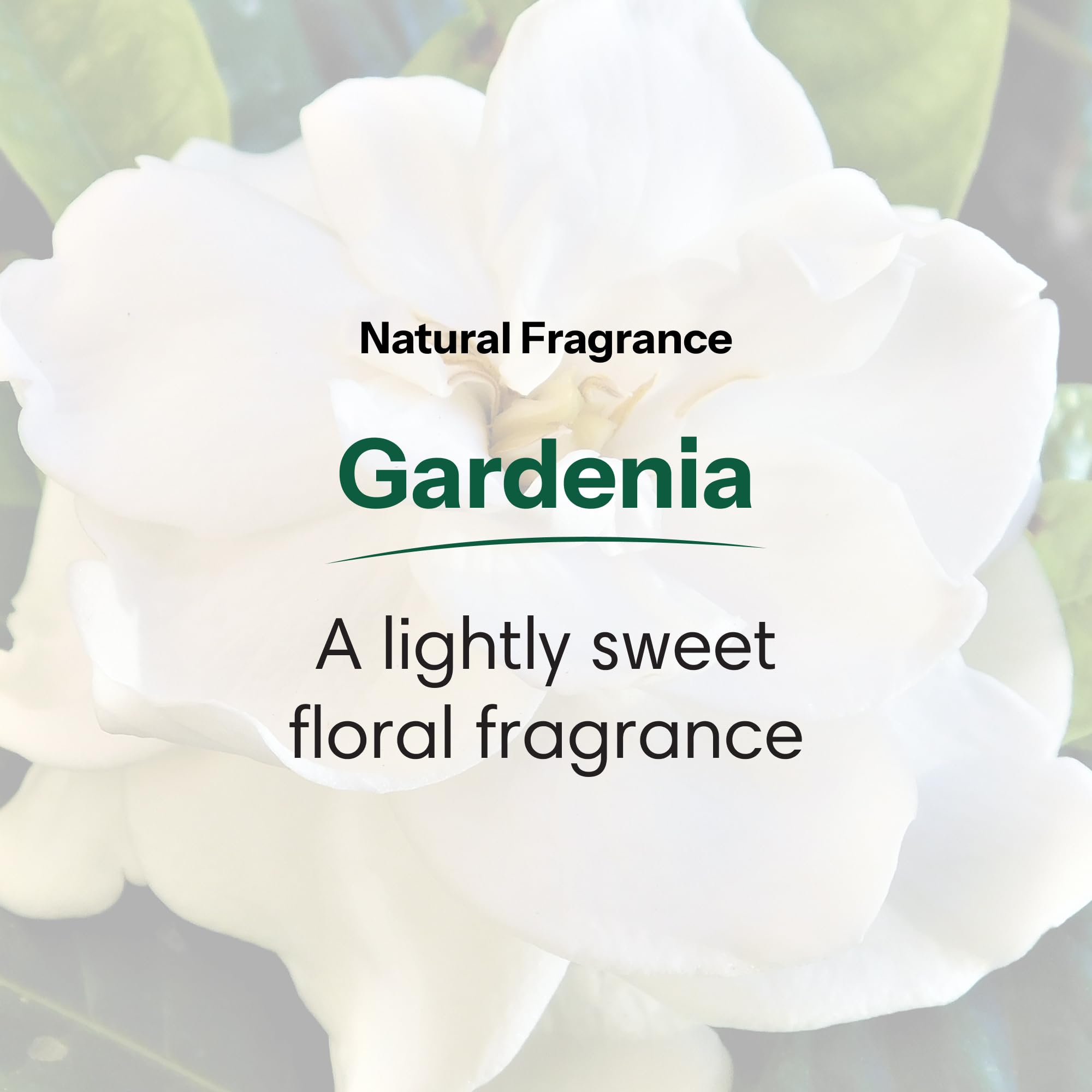ShiKai Gardenia foam close-up reveals a creamy texture for daily use.