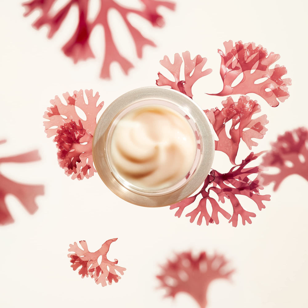 Ingrédients curcuma et technologies avancées pour apaiser et revitaliser la peau.