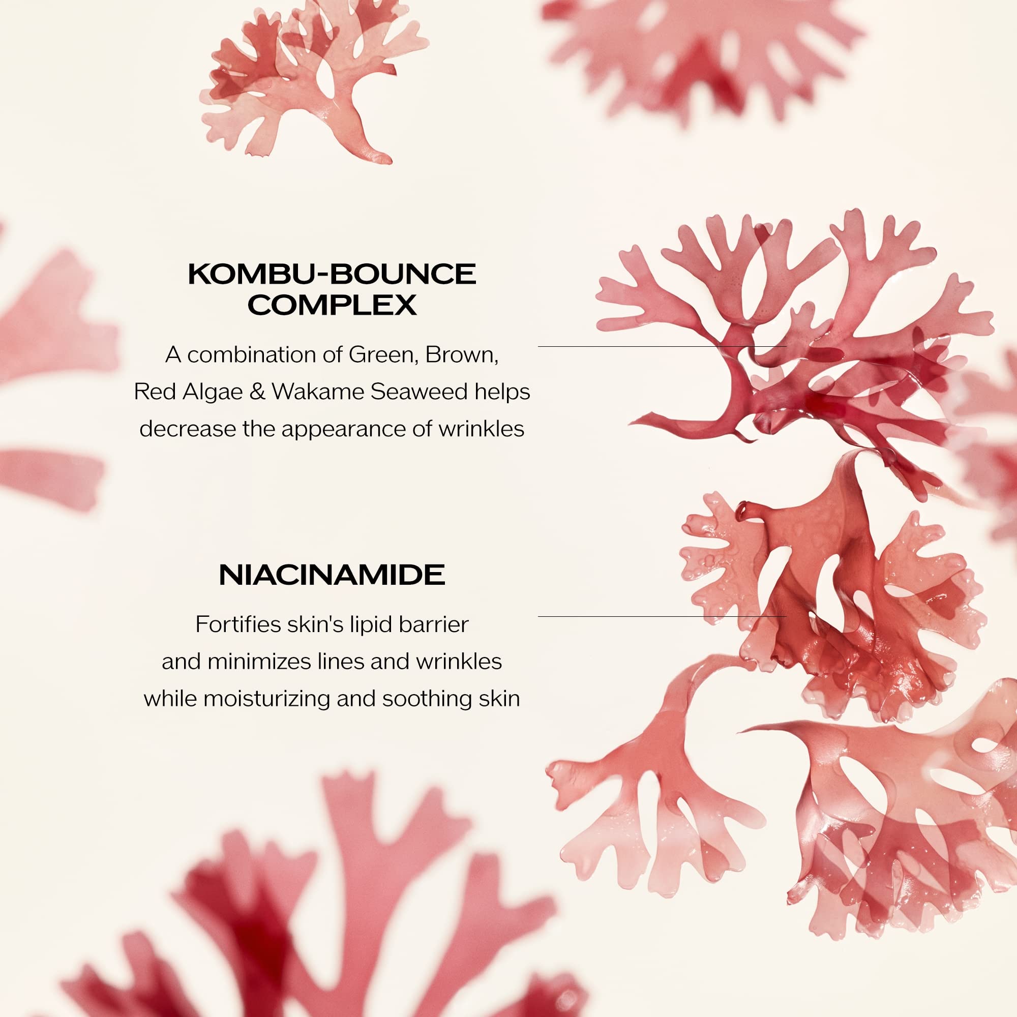 Shiseido Benefiance, KOMBU-Bounce mejora elasticidad y suaviza líneas.