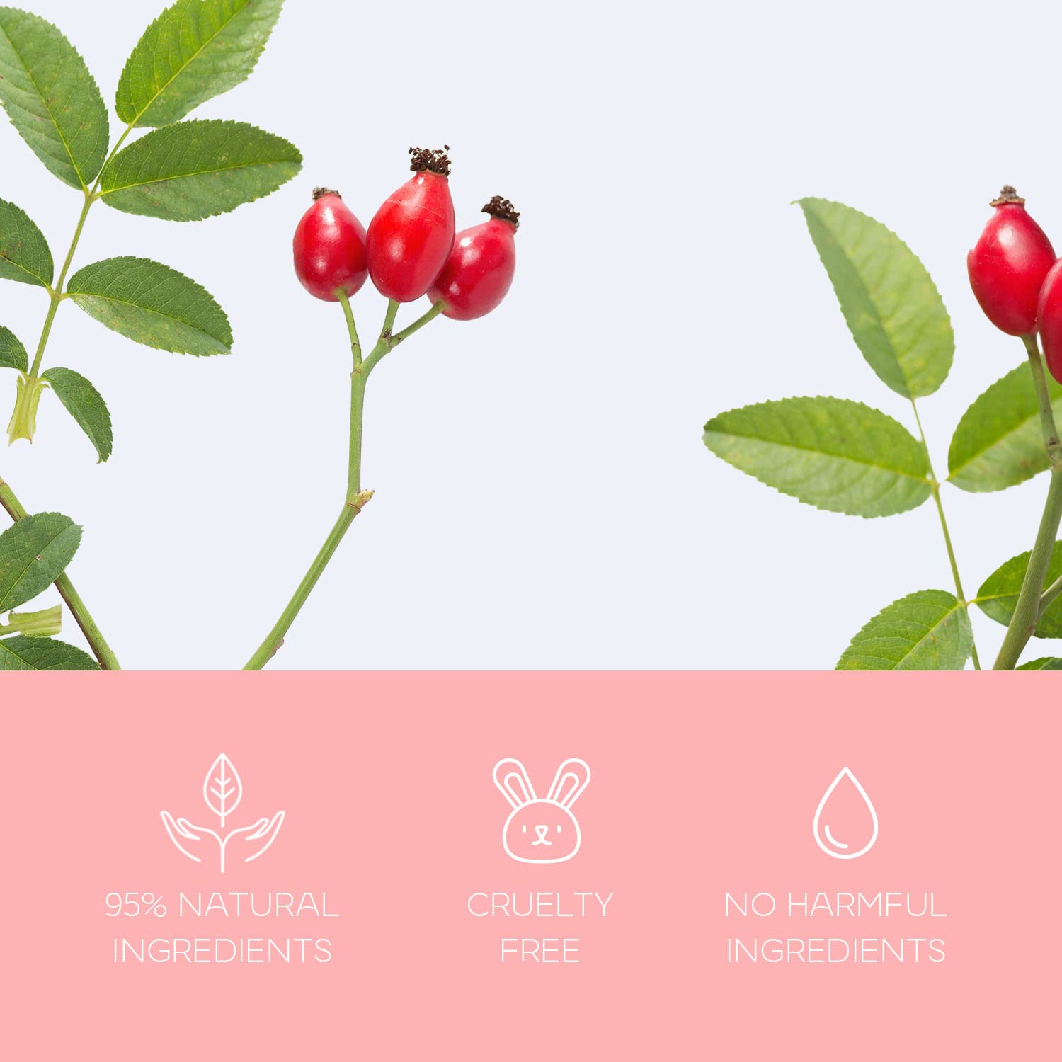 Uso diario recomendado para una piel radiante con Skin Aesthetics.
