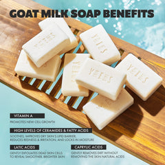Skin Said Yes grapefruit scent goat milk soap for a refreshing cleanse