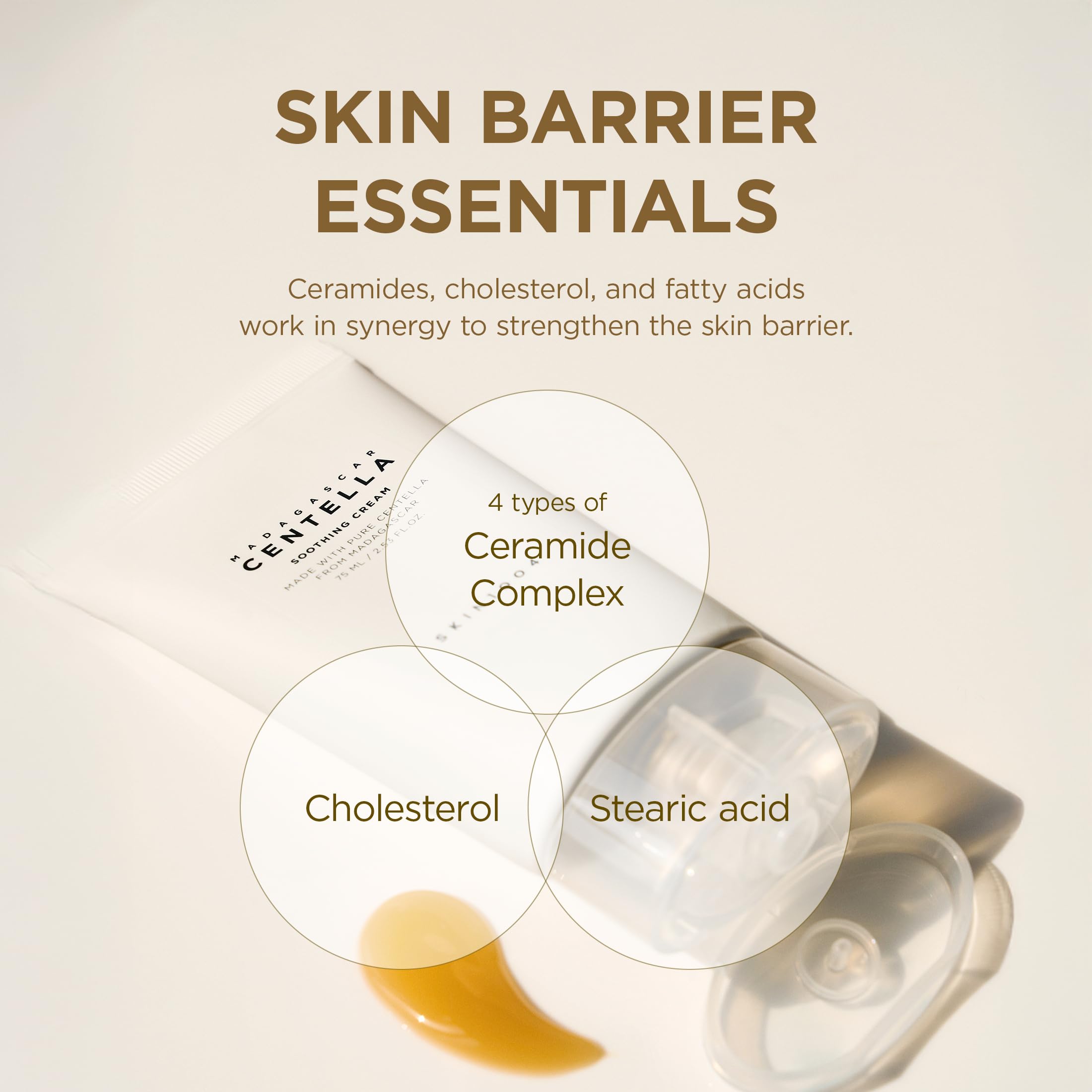 Aplicación diaria de SKIN1004 Centella para incluir en tu rutina facial.
