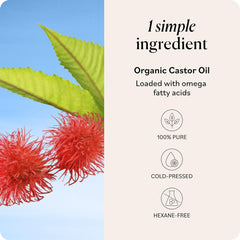 Sky Organics Aceite de ricino textura dorada y natural.