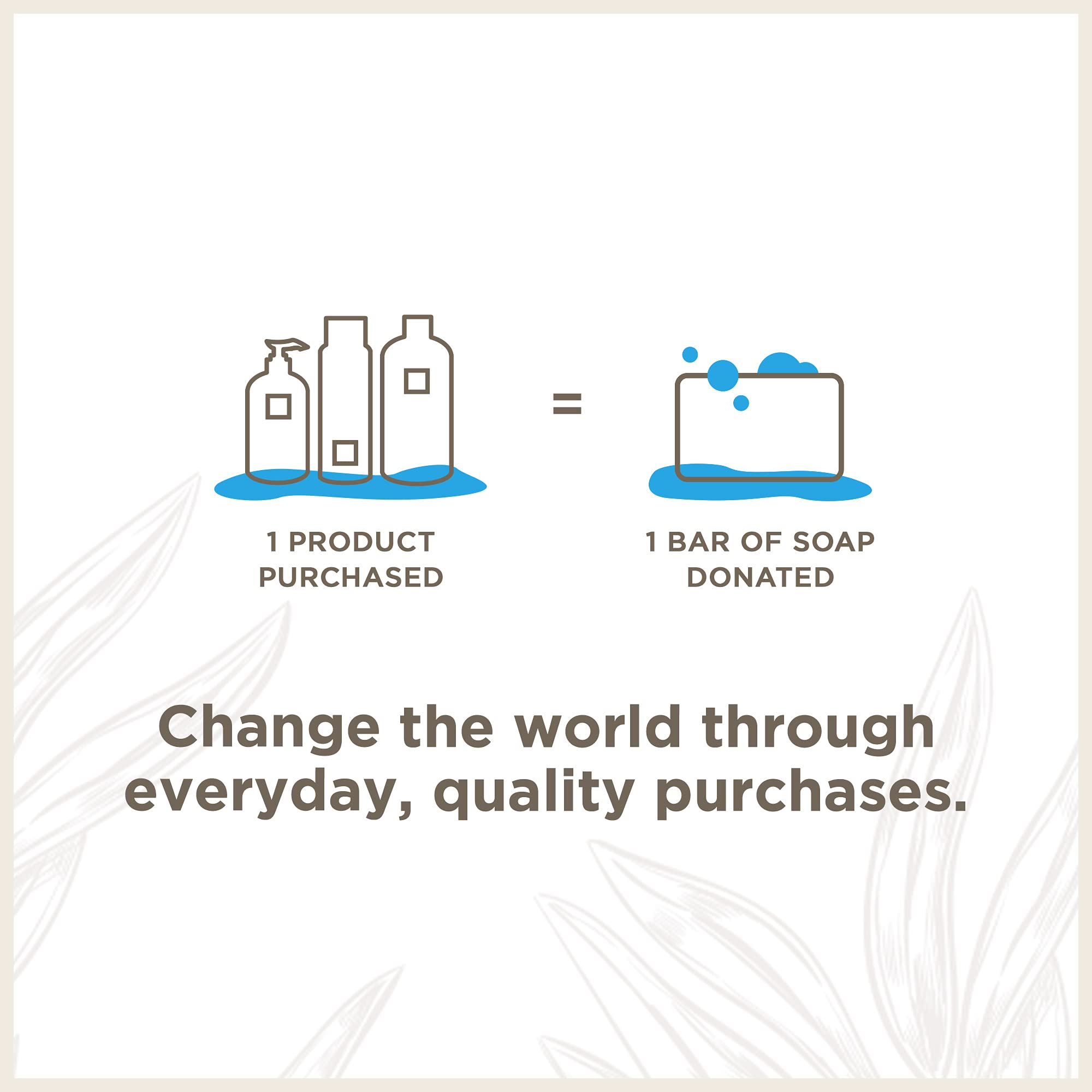 Soapbox shampooing coco ingrédients nourrissants : vitamine E et huile d argan