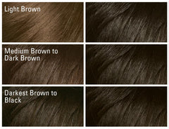 SoftSheen Dark and Lovely nutrición con aceites durante la coloración.