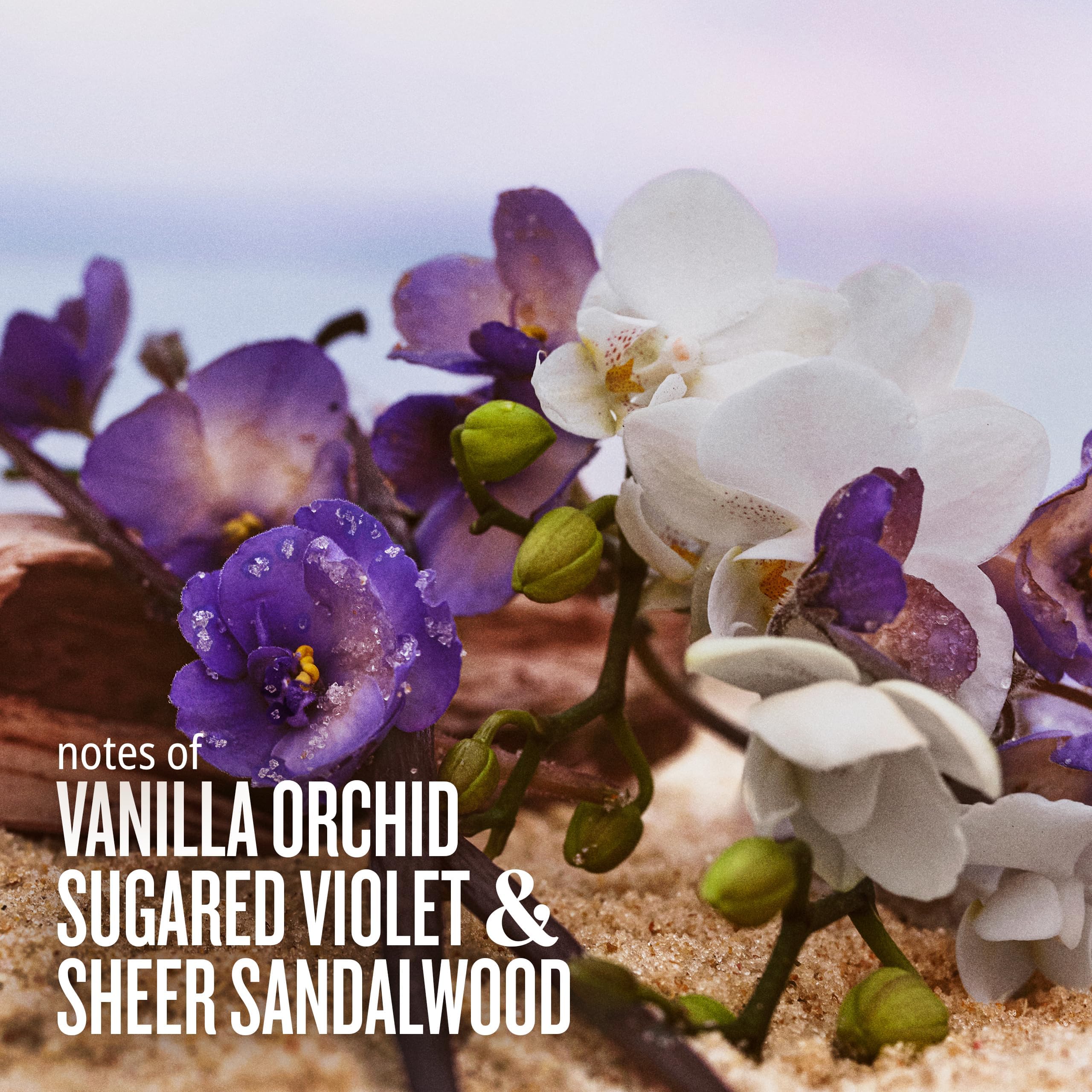Sol de Janeiro Cheirosa 59 – note violette sucrée, touche gourmande.