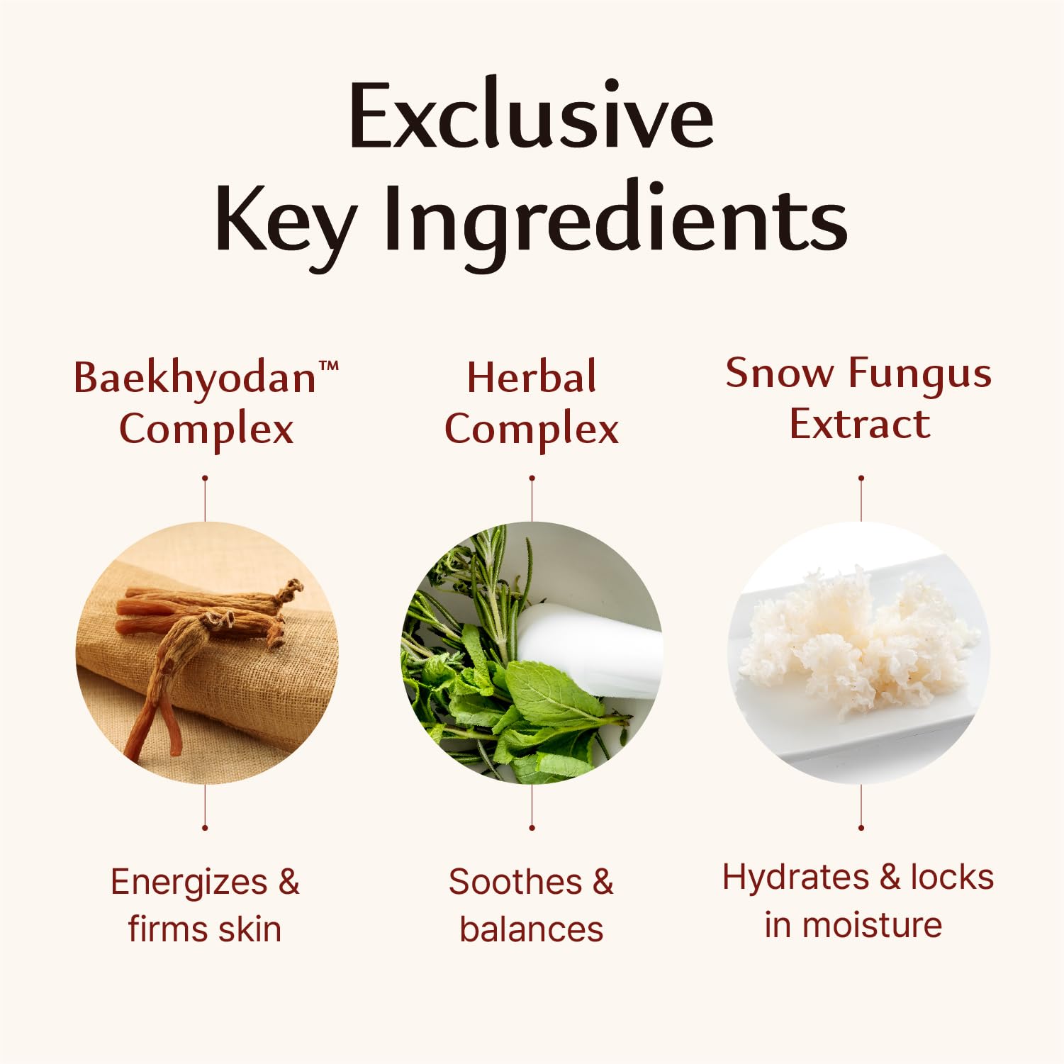 Baekhyodan de Sooryehan Hyobidam con ingredientes clave para nutrición