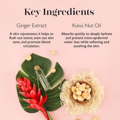 SPONGELLÉ awapuhi ingrediente clave para calma y nutrición.