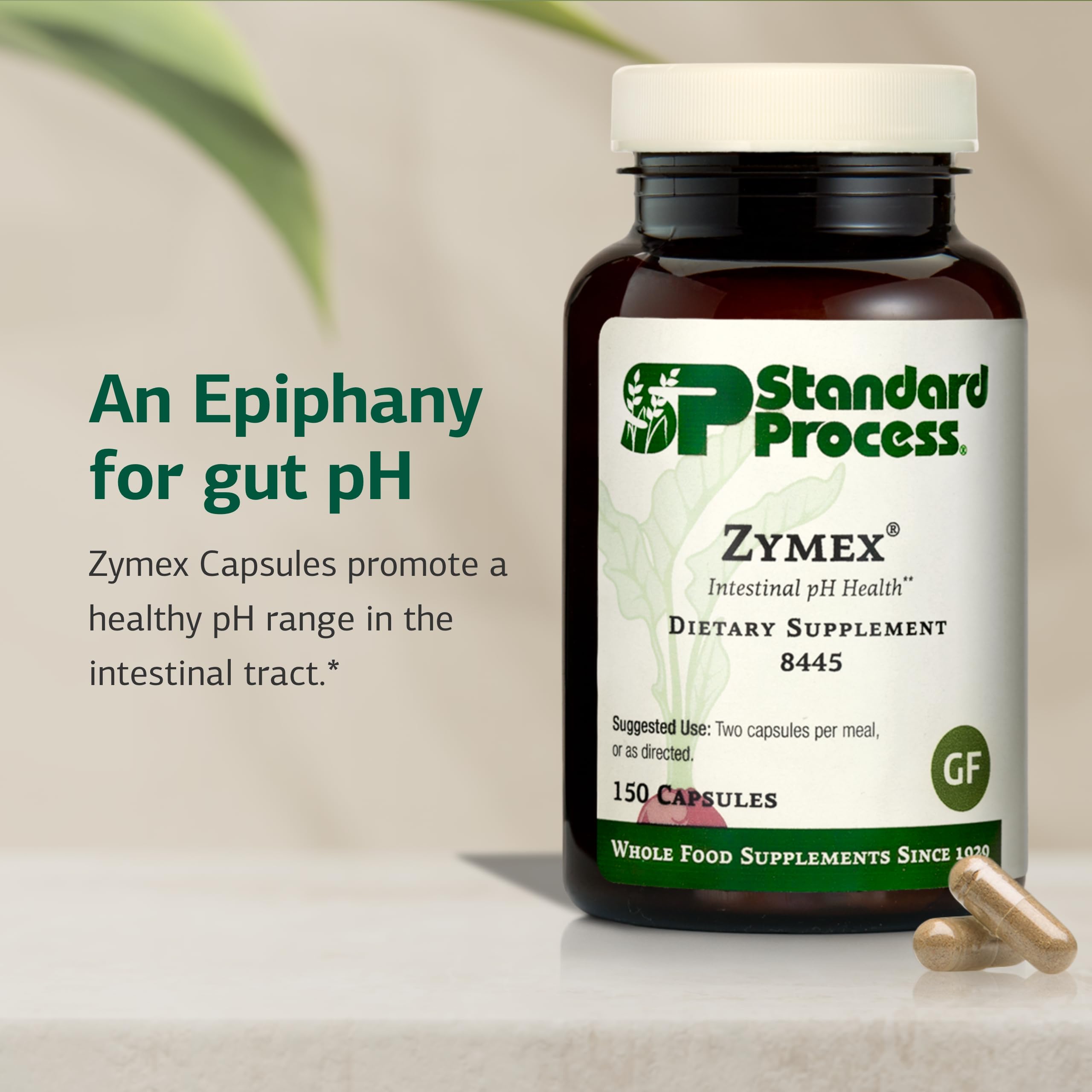 Standard Process Zymex: ingrédients mousse espagnole favorisant l'équilibre intestinal.