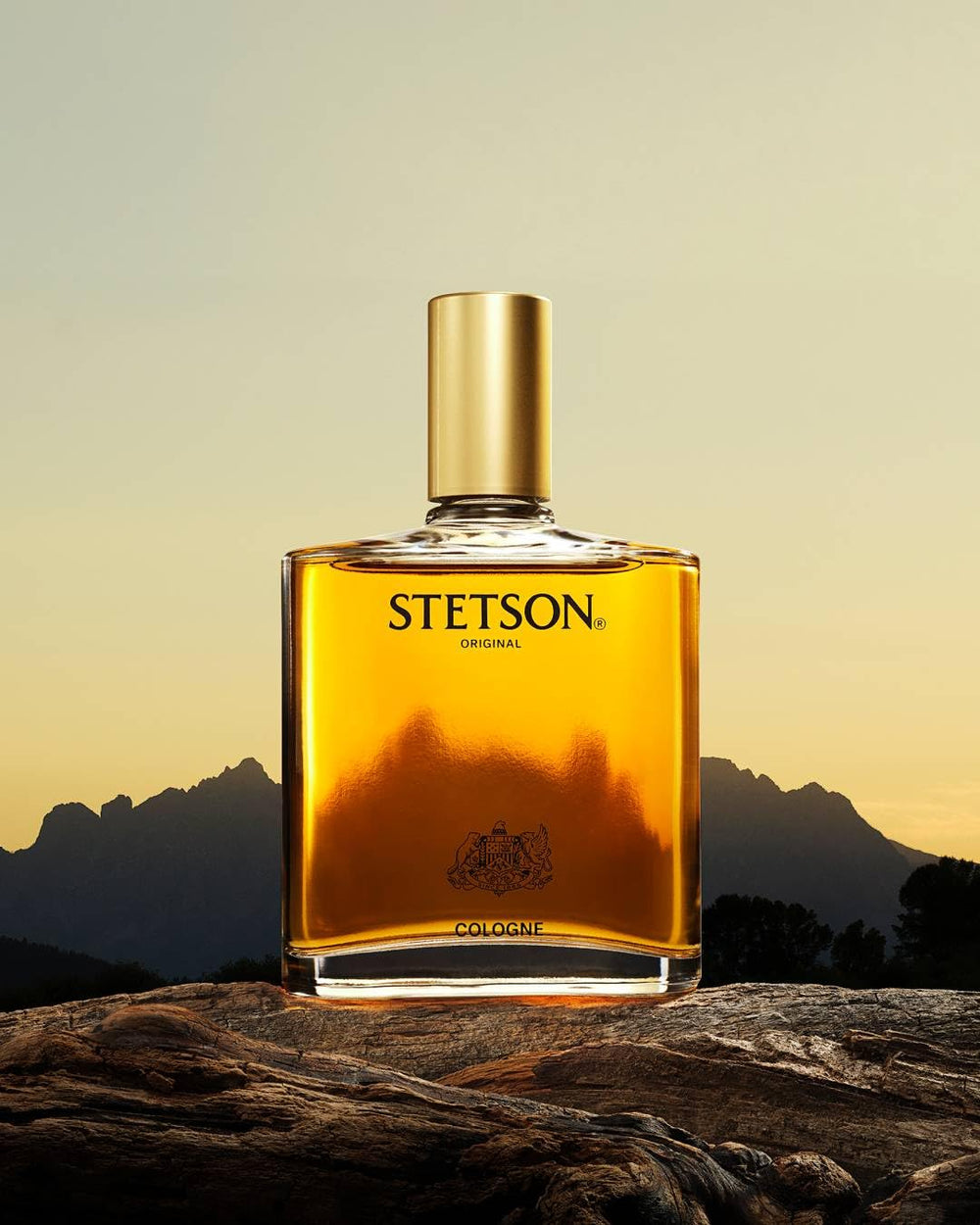 Stetson Original: envase de viaje práctico para salidas