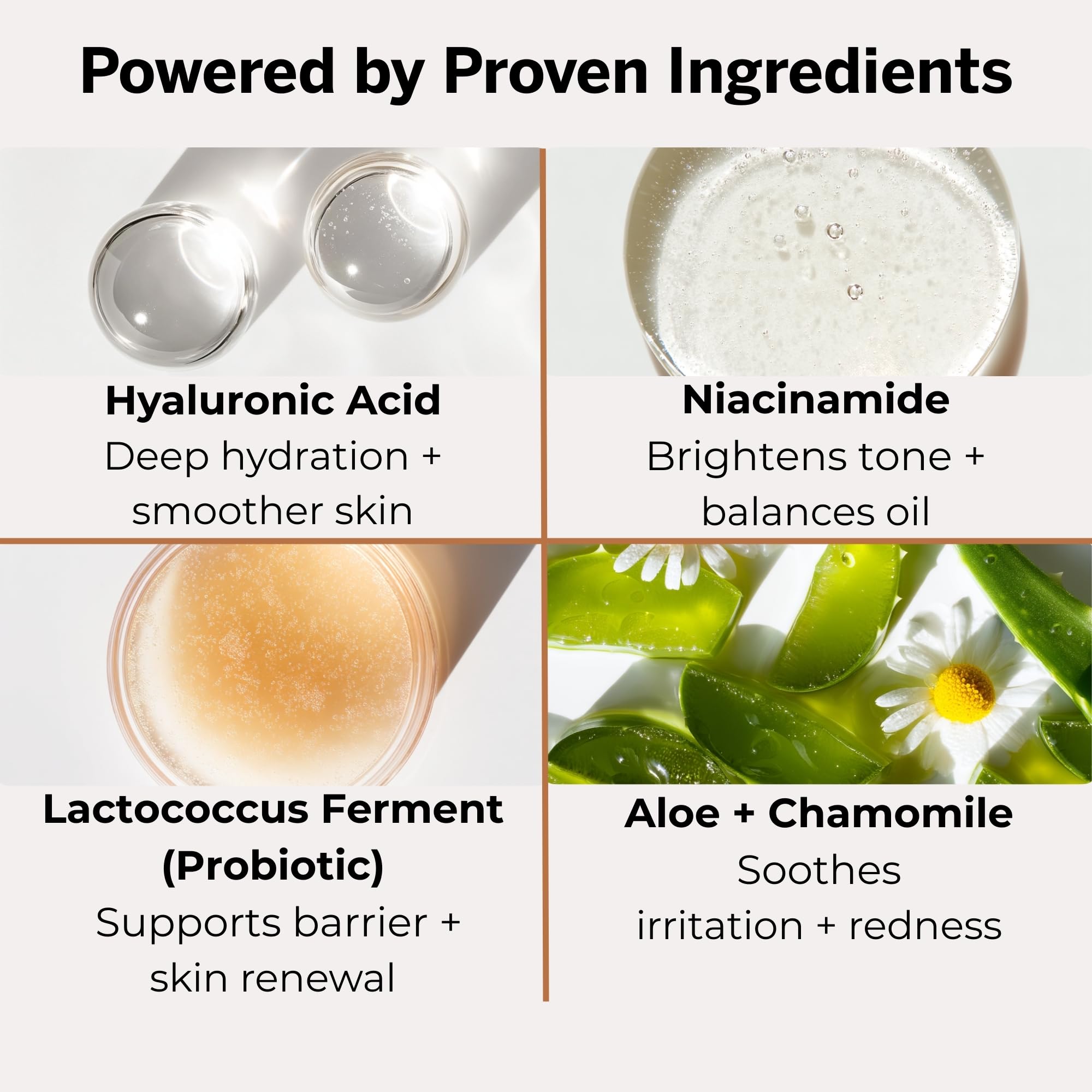 Aceite de argán en stubble-stache para nutrición de la barba.
