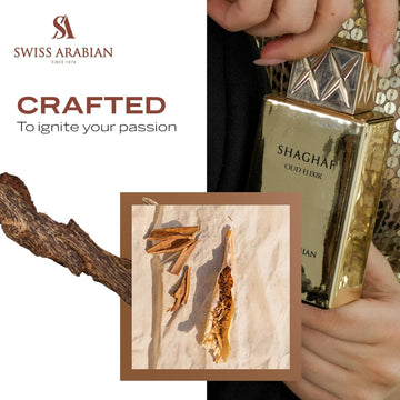 Shaghaf Oud Elixir: base con vainilla, ambar y almizcle para calidez y profundidad.