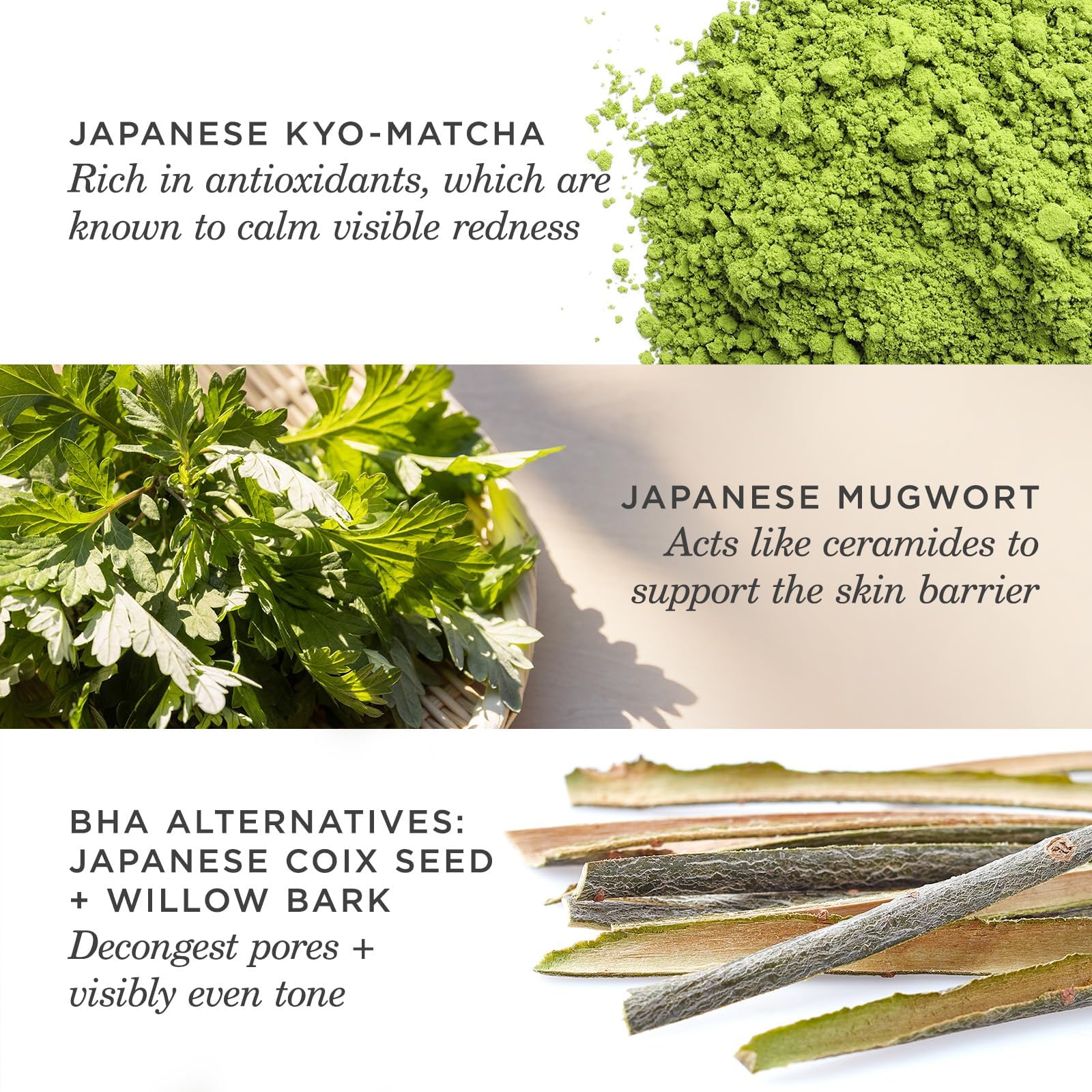 TATCHA Matcha Cleanse, uso diario para poros despejados y piel equilibrada.