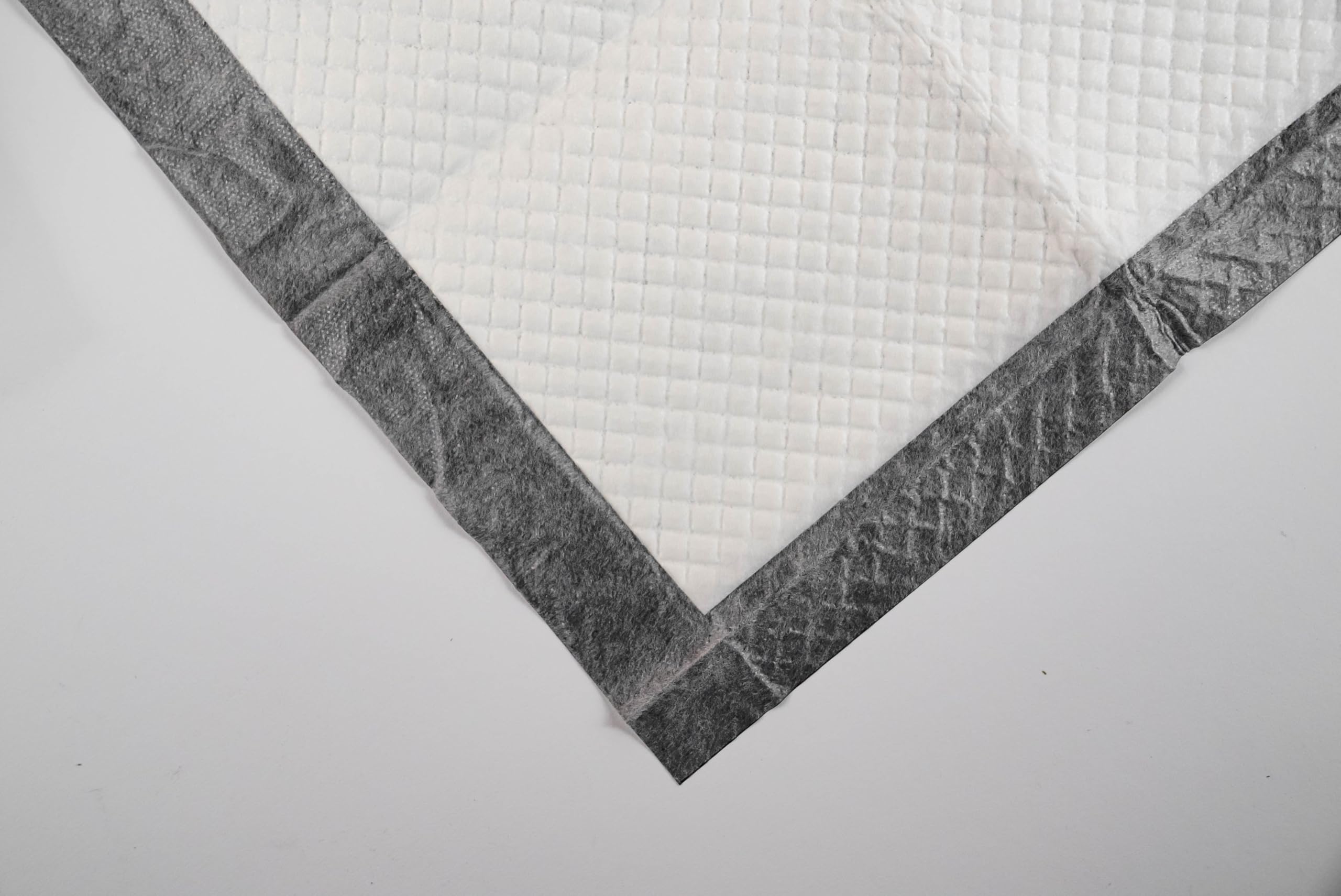 Tattoo Armour: detalle de absorción de plasma para curación limpia.