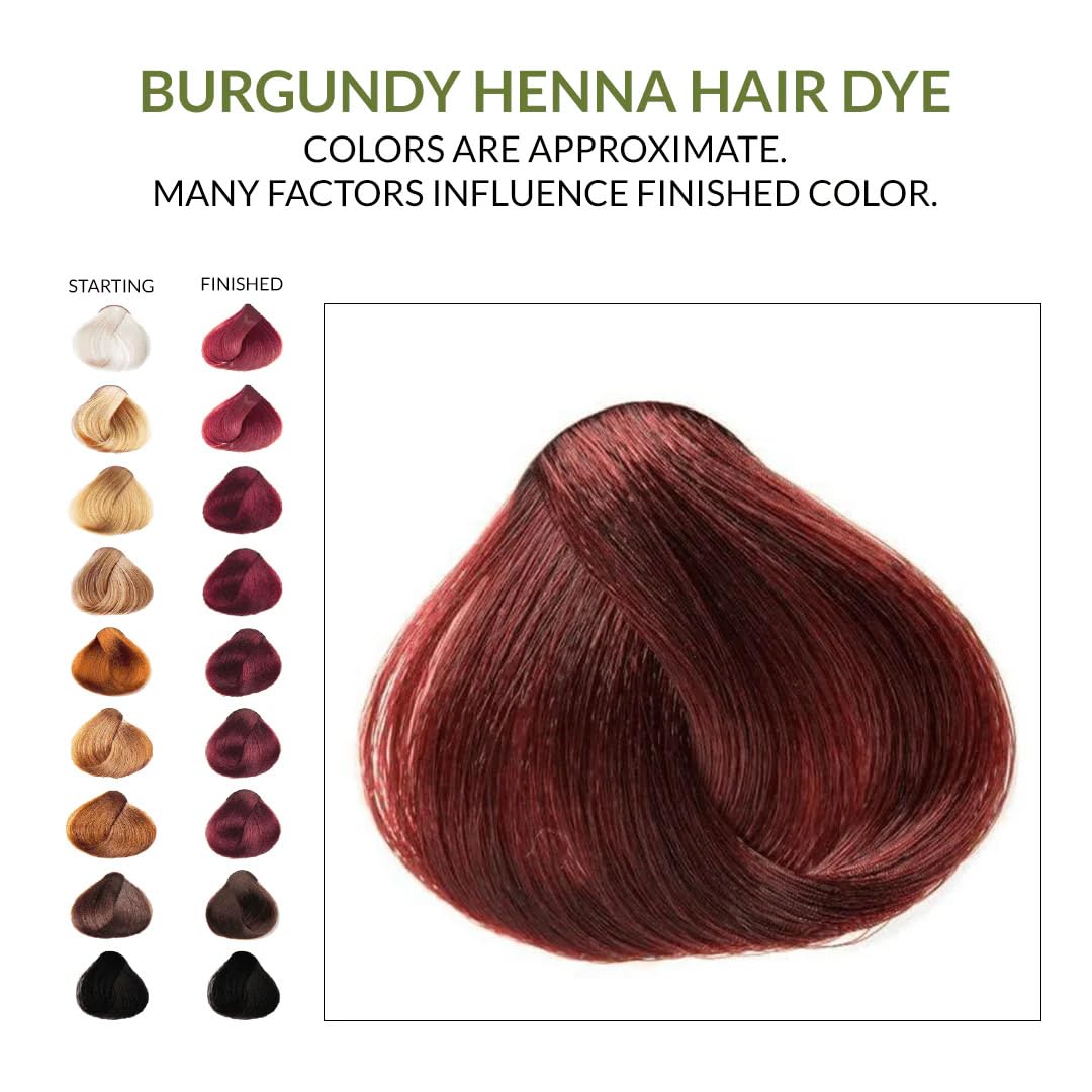 The Henna Guys Burgundy - colorante vegetal de origen natural.
