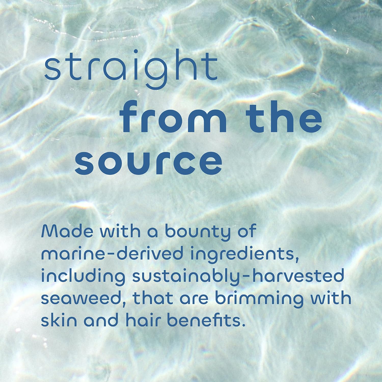 Seaweed Bath Co. Balance aroma de eucalipto y menta experiencia fresca
