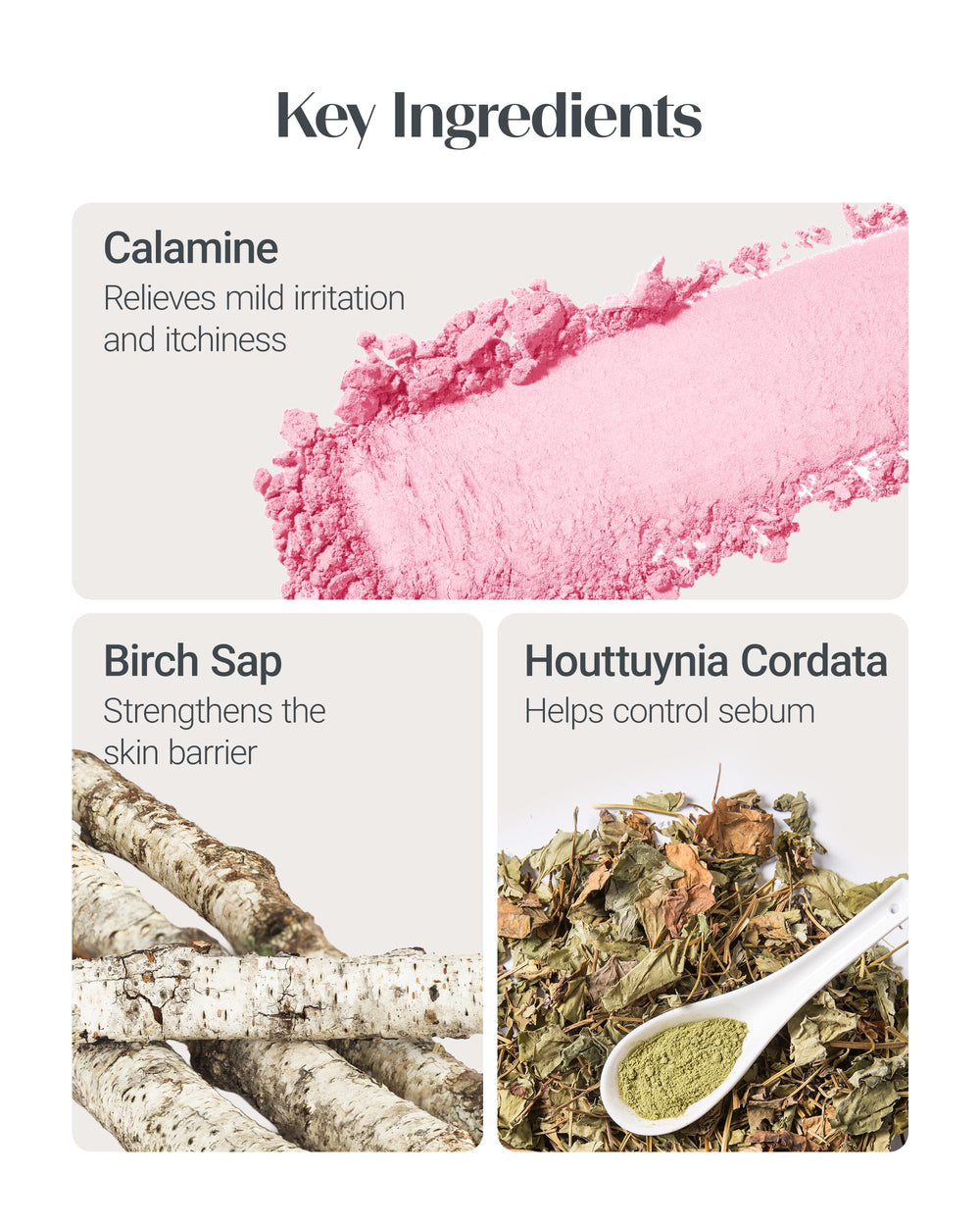 THESAEM Saemmul Perfect Pore Pink Pact control de sebo para todo el día