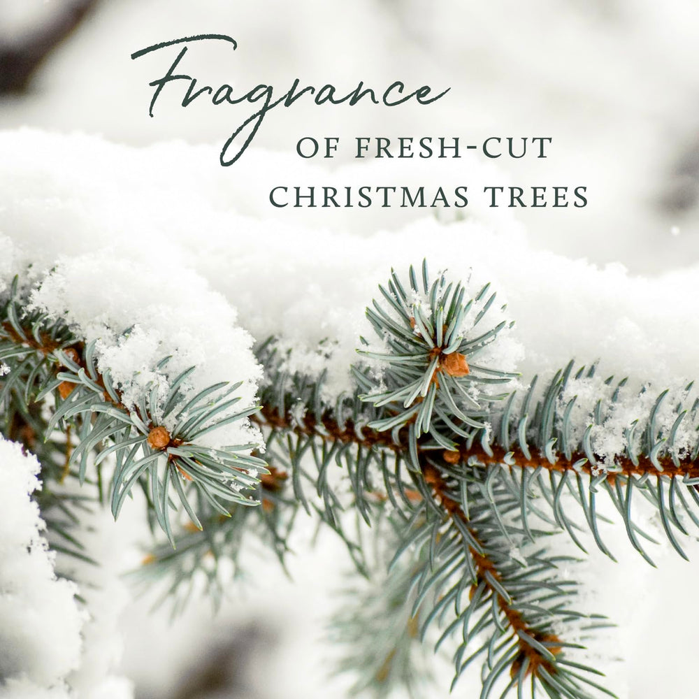 Thymes Frasier Fir aroma fresco para bienestar diario