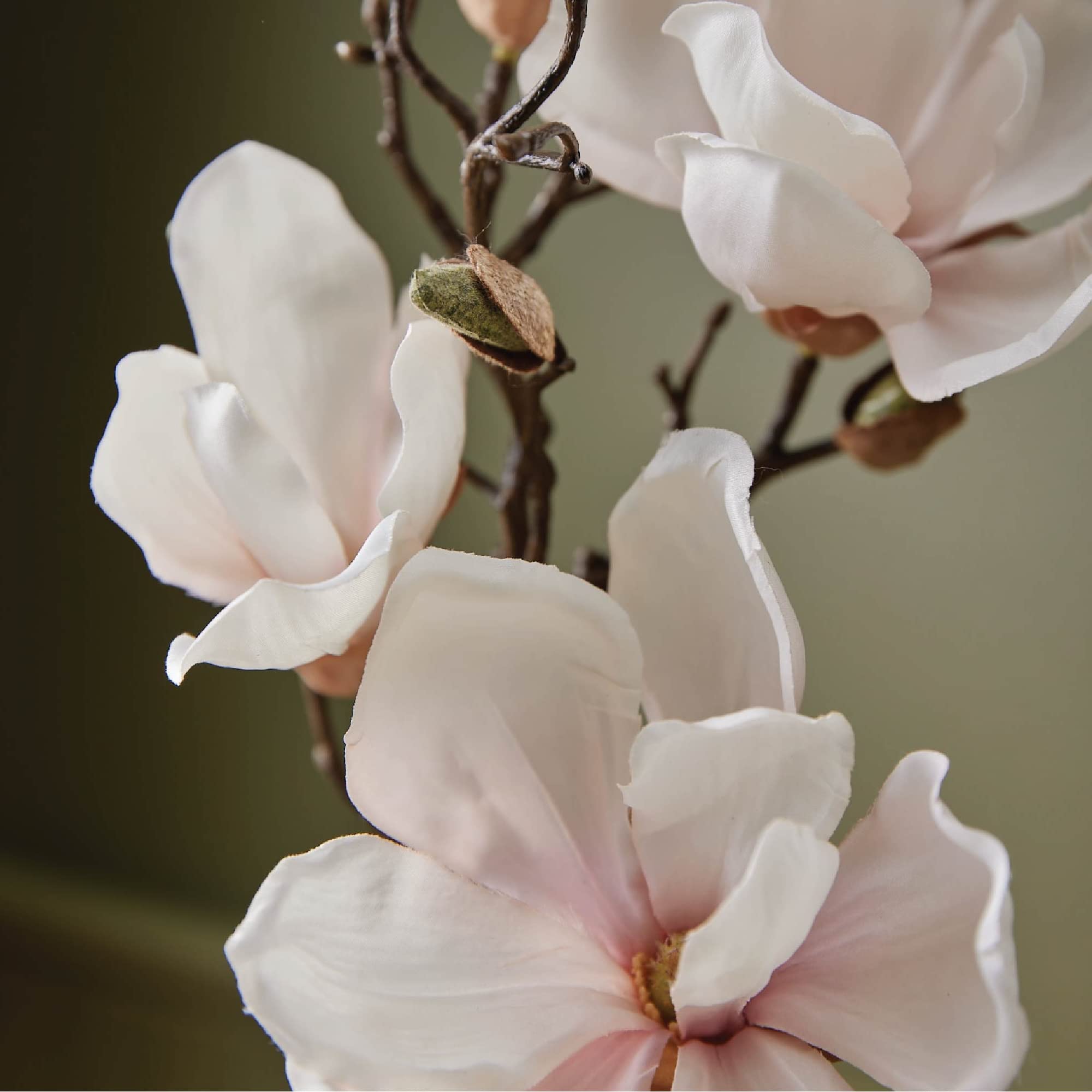 Thymes Magnolia Willow: crema de manos sedosa para hidratación diaria.