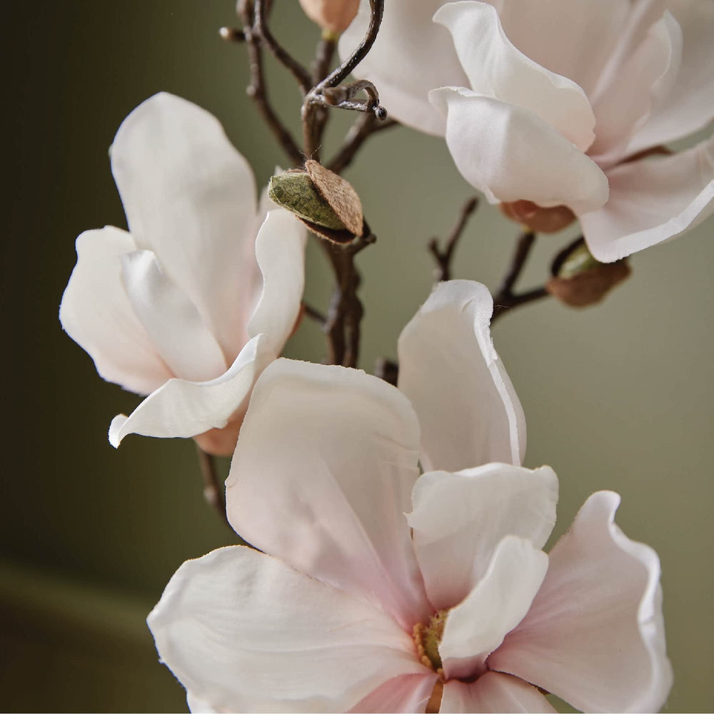Thymes Magnolia Willow: crema de manos sedosa para hidratación diaria.