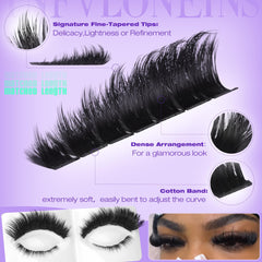 TNFVLONEINS diseño D-Curl para rizo duradero