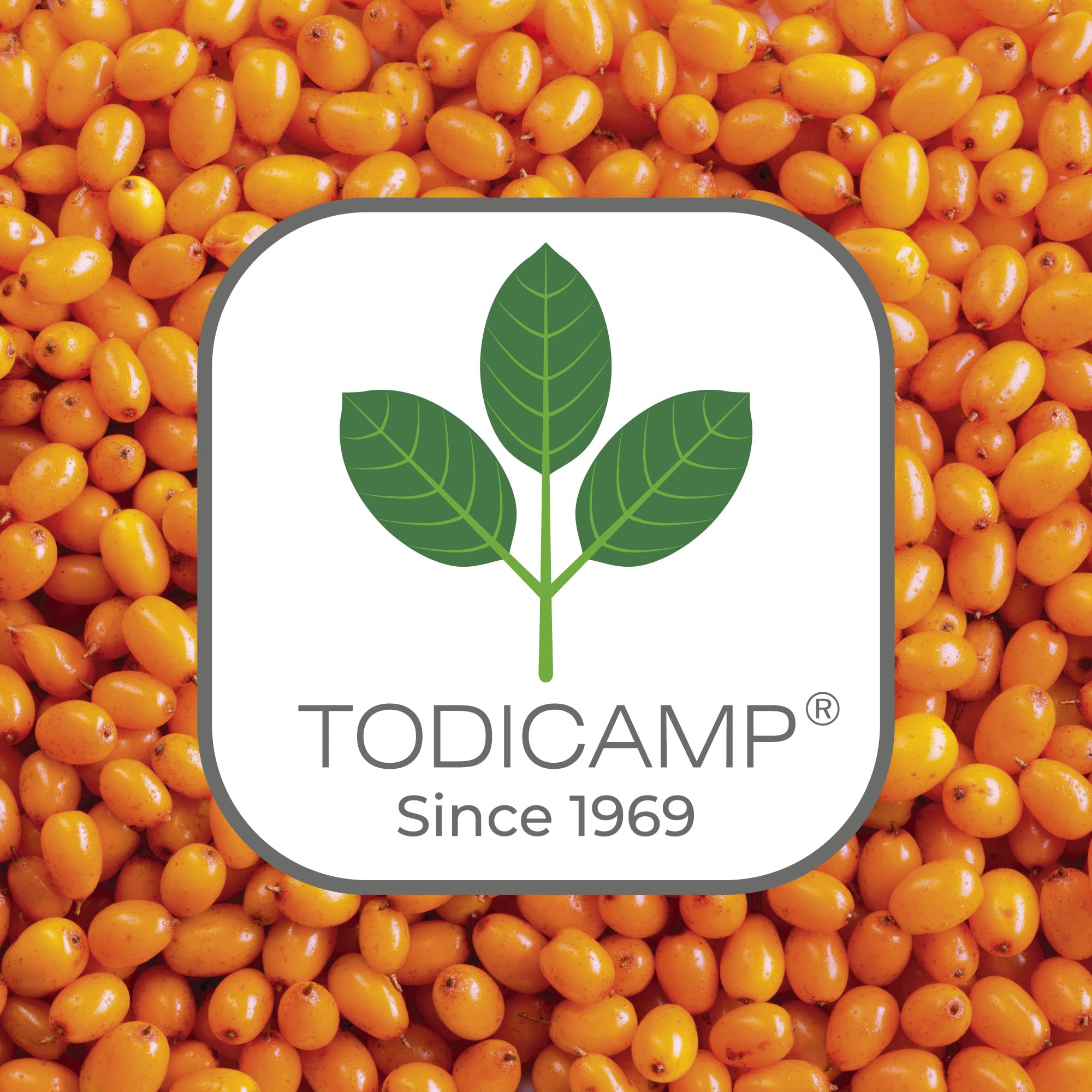 TODICAMP Aceite de espino amarillo, extracción en frío preserva nutrientes para el cuidado