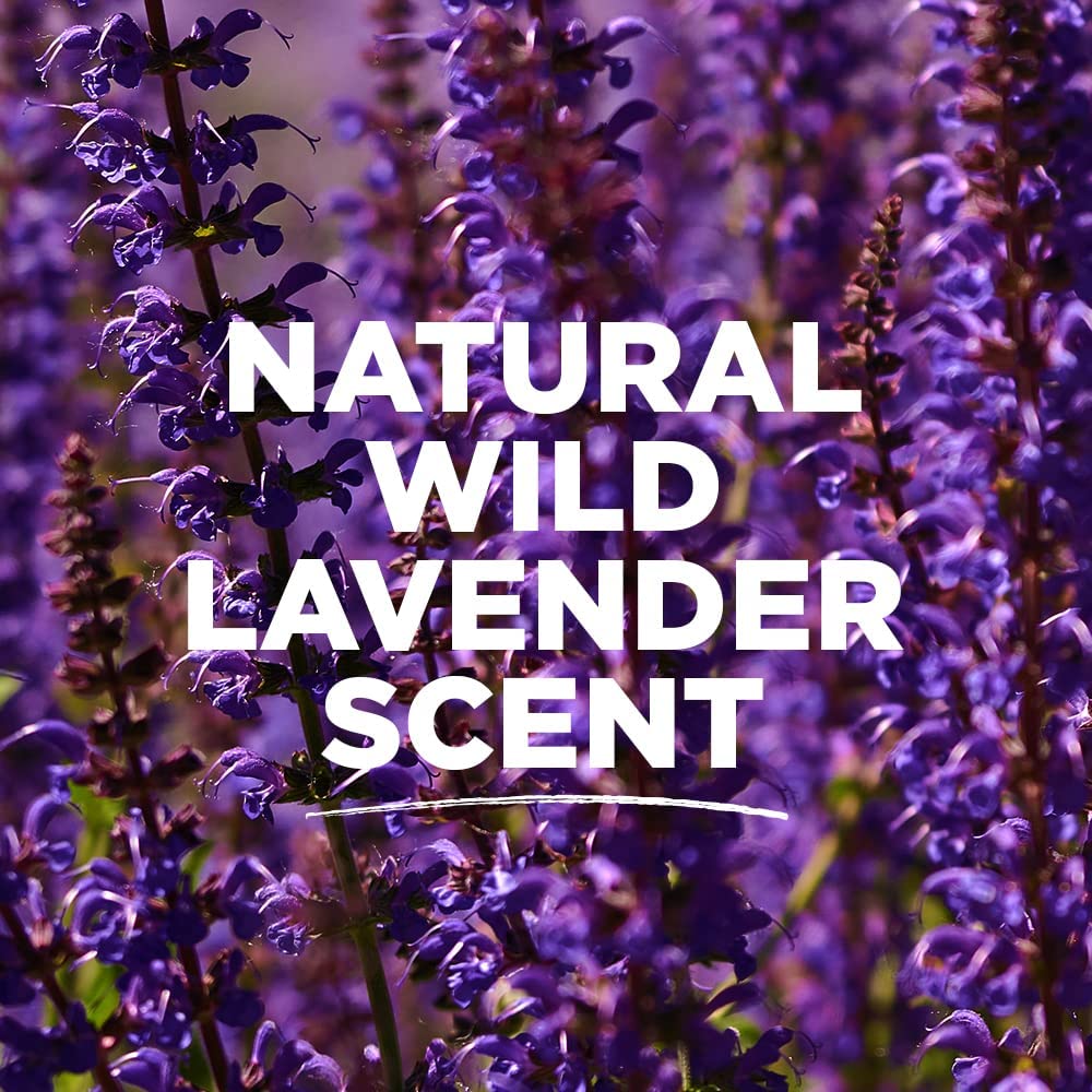 Tom's of Maine Desodorante Lavanda Stick: zinc ricinoleato atrapa olores causados por bacterias.
