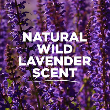 Tom's of Maine Desodorante Lavanda Stick: zinc ricinoleato atrapa olores causados por bacterias.