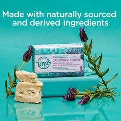 Tom's of Maine Jabon Natural Beauty Lavanda y Shea, paquete de seis barras para uso diario.