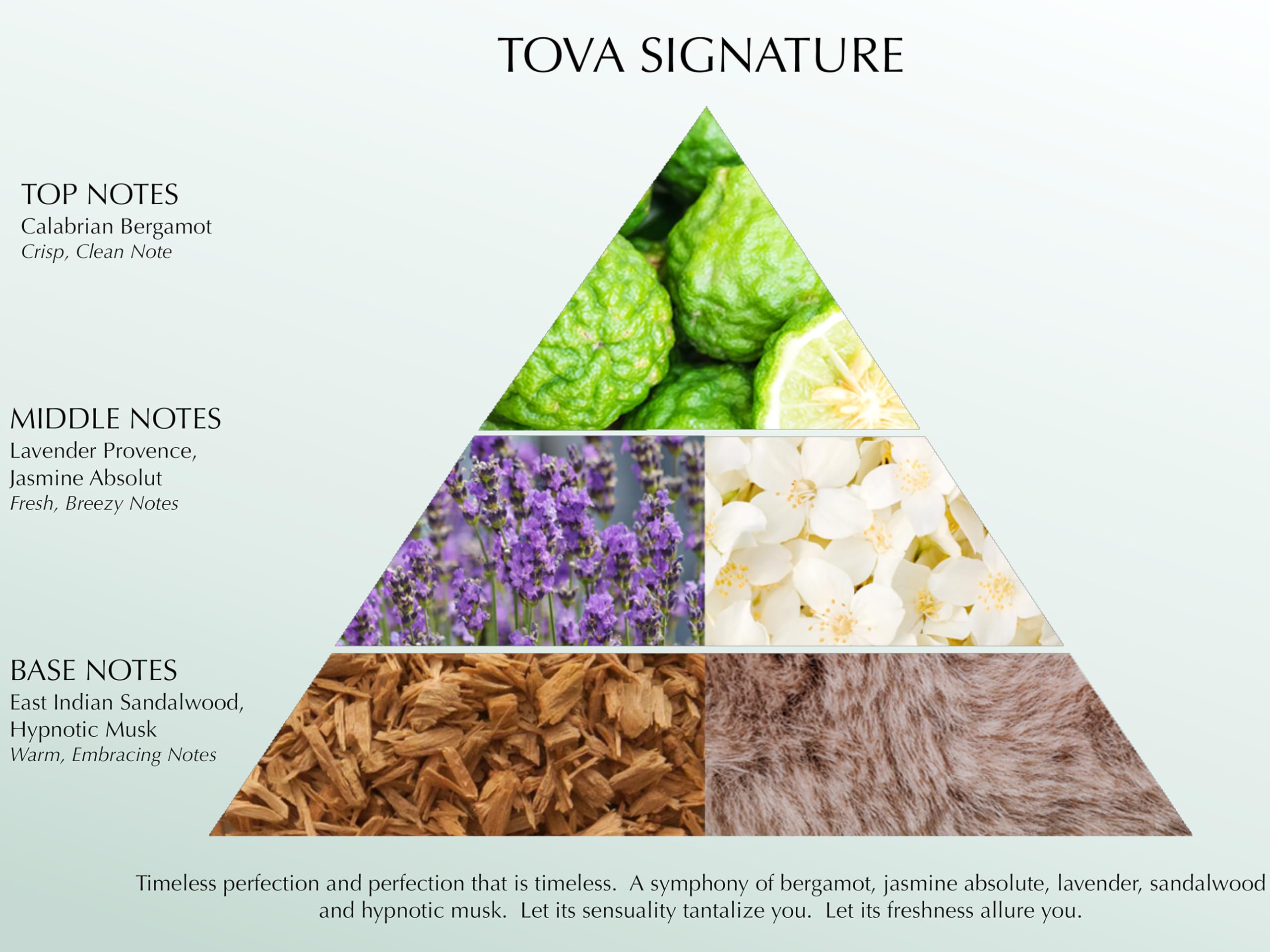 Tova Signature almizcle afrodisíaco, aroma envolvente y sugerente