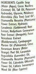 Trader Joe's limpiador facial con aceite de árbol de té – espuma suave para piel limpia.