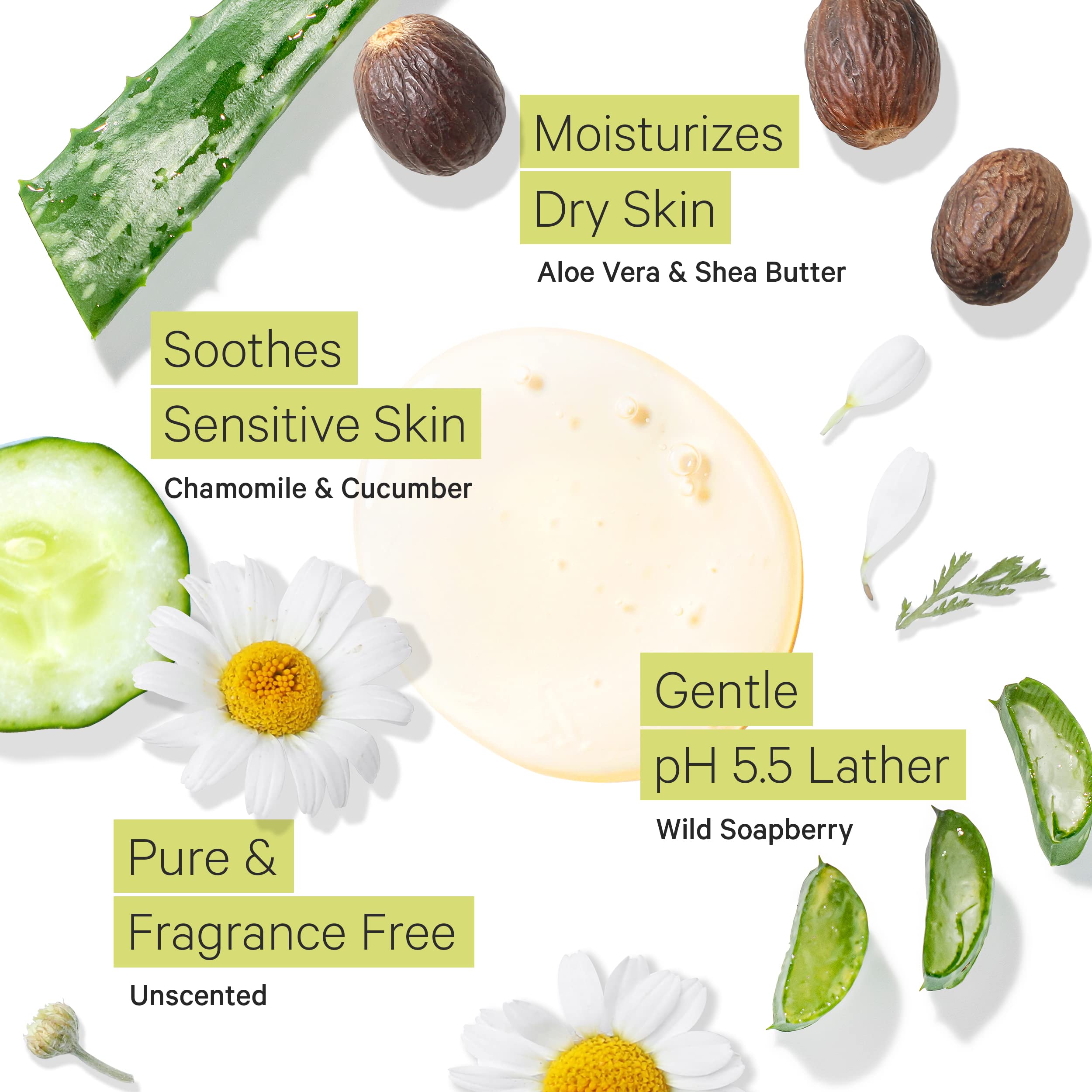 Tree to Tub con aloe orgánico y bayas de jabón silvestres para cuidado natural.